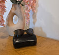Black and Gold Shield Sunglasses